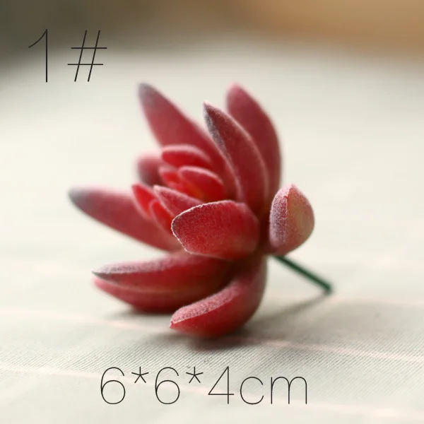 3651947181_544858394