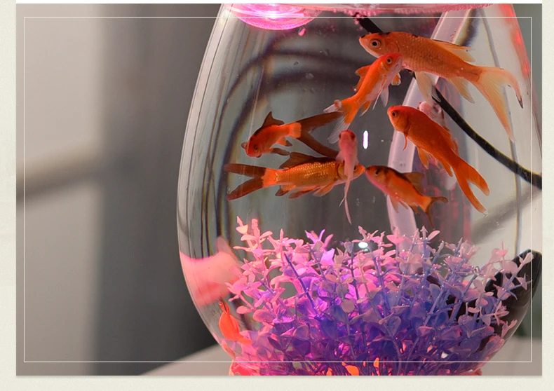 TB2BPkenOCYBuNkSnaVXXcMsVXa_!!2090377603