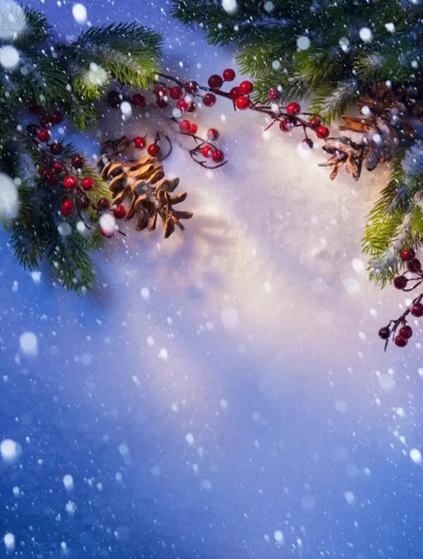 

2m*3m Vinyl Backdrops for Photography Christmas  Background Photo Studio Prop HU-05336