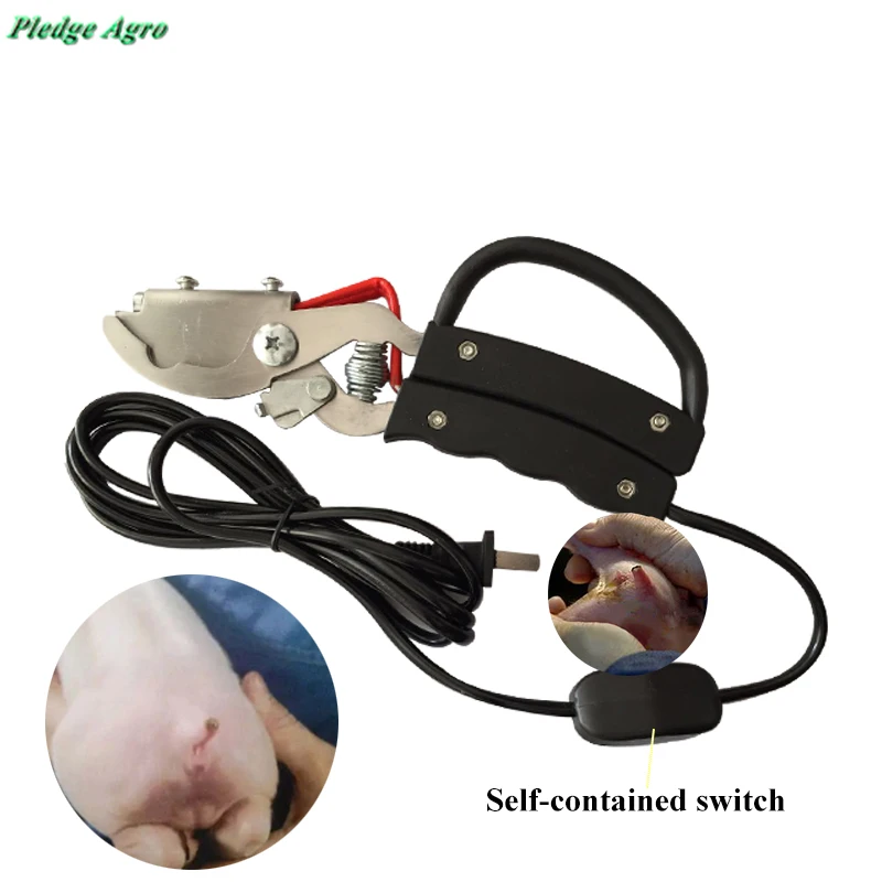 

Piglet tail cut electric heating clamp docked tail plier for piglet bloodless piggery farm cutter farming equipment tools vet