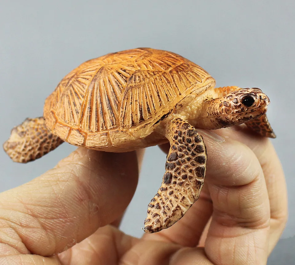 Simulation Turtle Static Plastic Toy About 8x7cm Tortoise Model