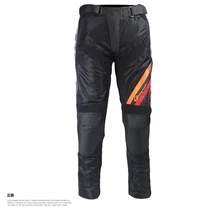 Новая модель Лето Сетки Спортивные штаны/безопасности Штаны/Защитные мотогонок брюки имеют защиту R-1