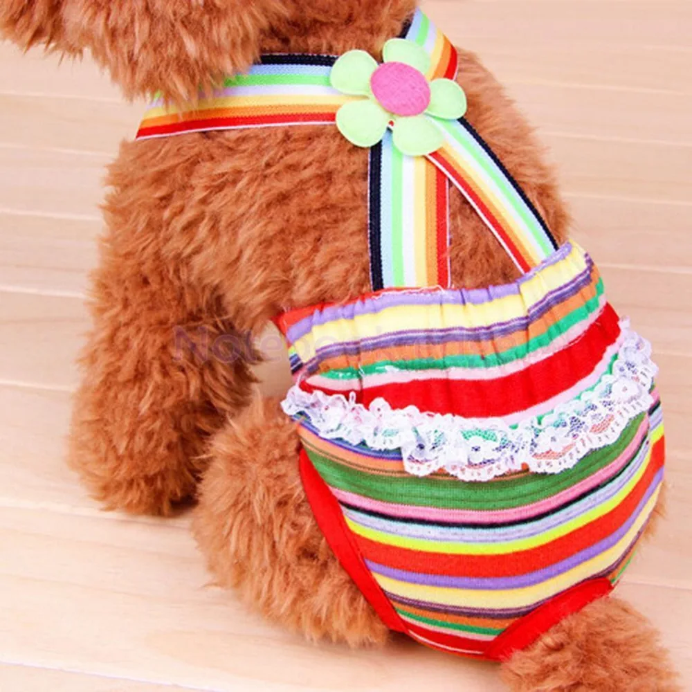 Accessories for female dogs Clearance