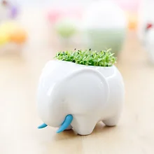New Potted Succulents Ceramic Ornaments Flower Pot Planter Creative Flowerpot Home Decor Basin