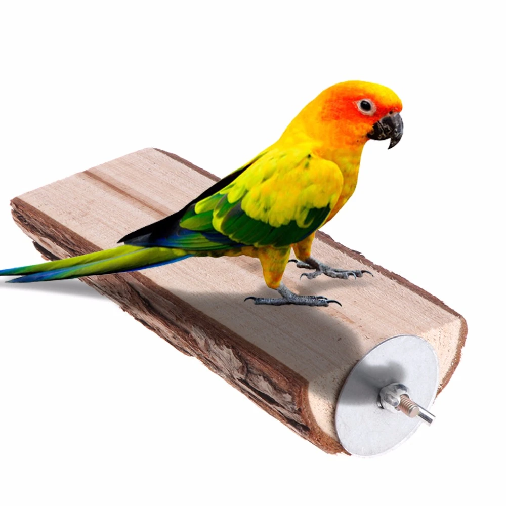 bird wooden stand
