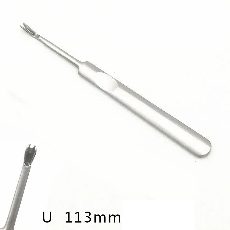 u