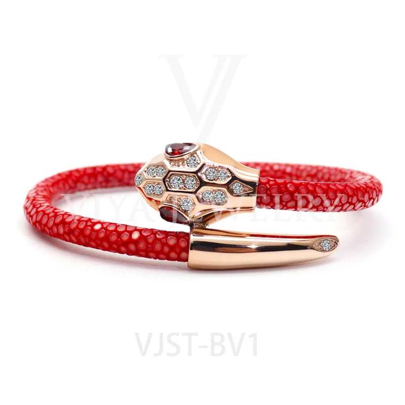 VJST-BV1(23)