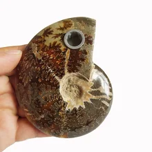 1pcs natural Fossil stone smoking pipe new design crystal smoking pipe Free Shipping