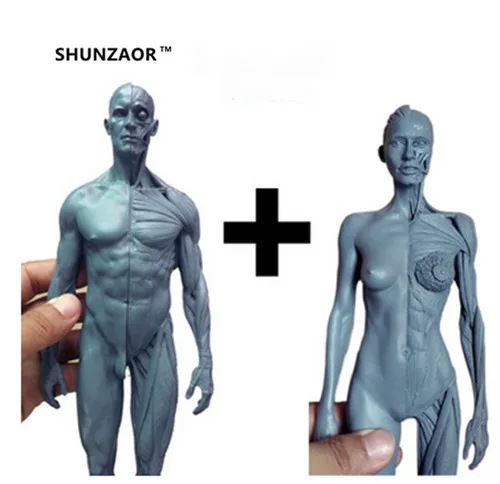1_