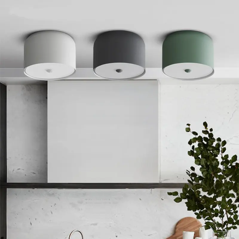 Nordic Round Ceiling Lights ECO-Friendly Materials Living Room Ceiling Lamps Paint Matte process Dual-Use Lights for Indoor Home Nordic Round Ceiling Lights ECO-Friendly Materials Living Room Ceiling Lamps Paint Matte process Dual-Use Lights for Indoor Home