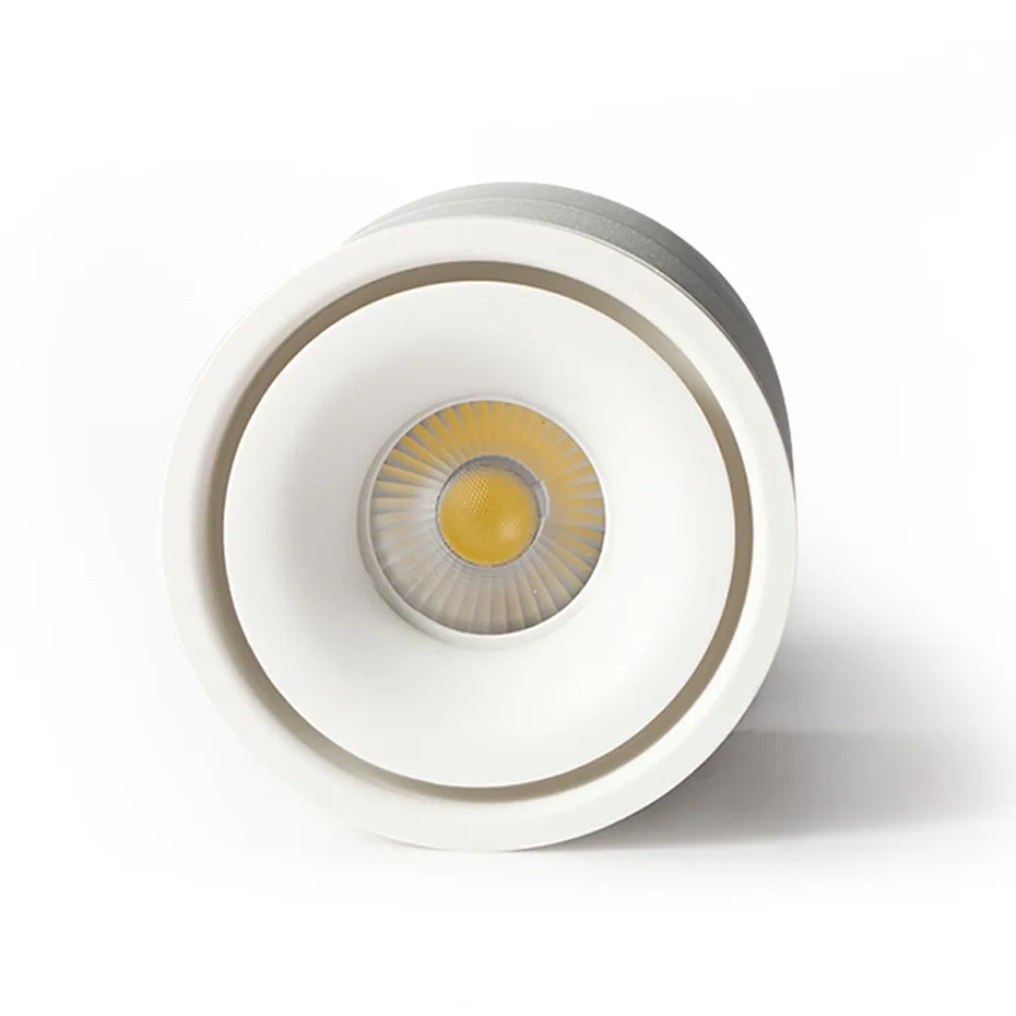 Surface downlights  (10)_