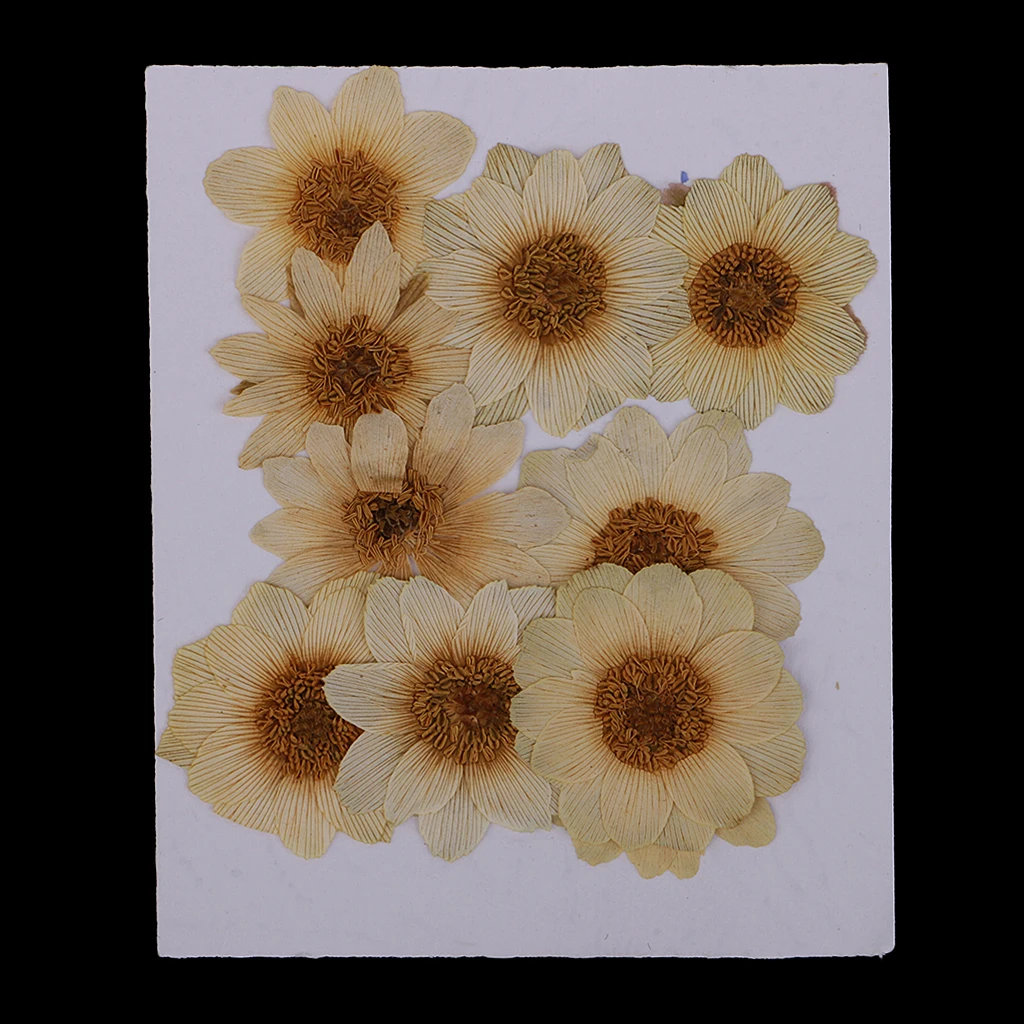 10 Pcs Dried Pressed ICE Flowers For Resin Flower DIY Arts Crafts Supplies