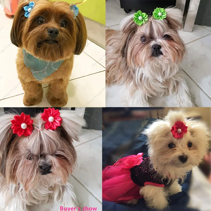 Банты для собак и кошек банты с резинками ухода за шерстью 100 шт.|dog hair accessories|bow