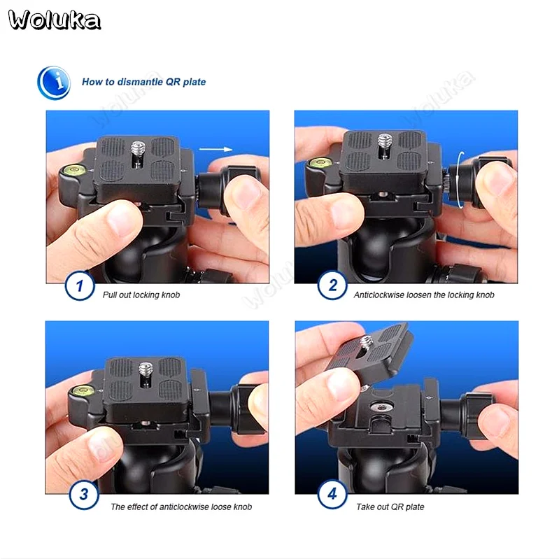 36020190219172648141