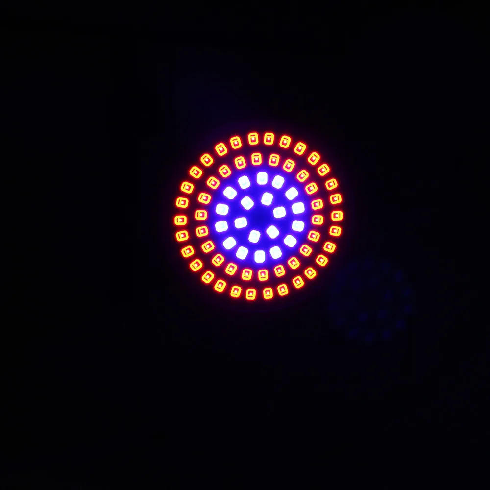 2 (13)