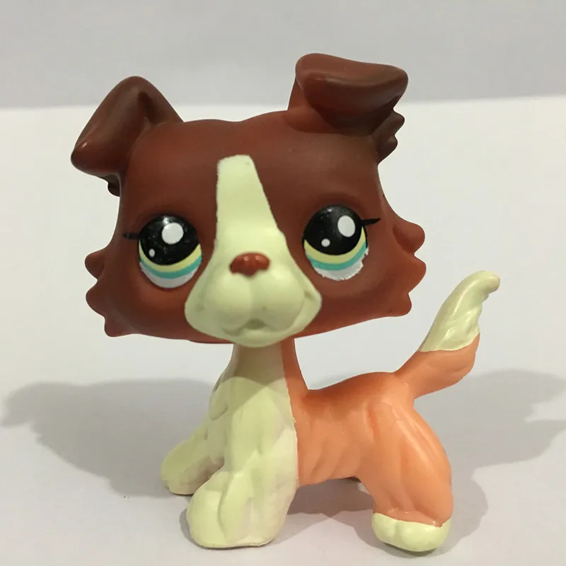 HTB1R_pIblcXBuNjt_Xoq6xIwFXaN