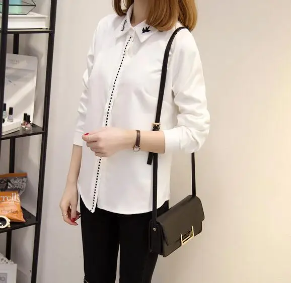 Z17012062  6