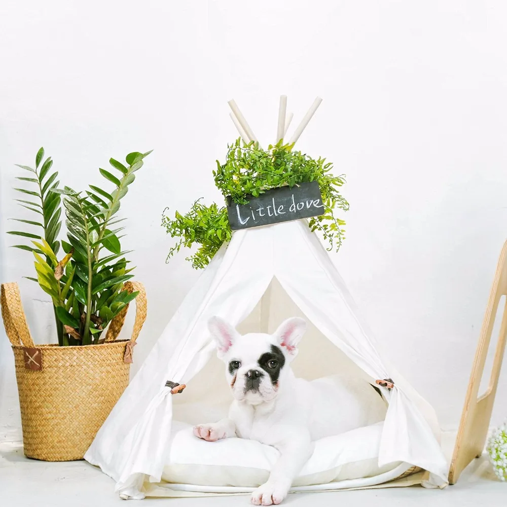 81l1PyX-edL._SL1500_