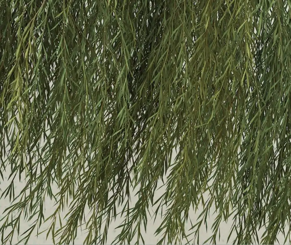 QQ20190508182216