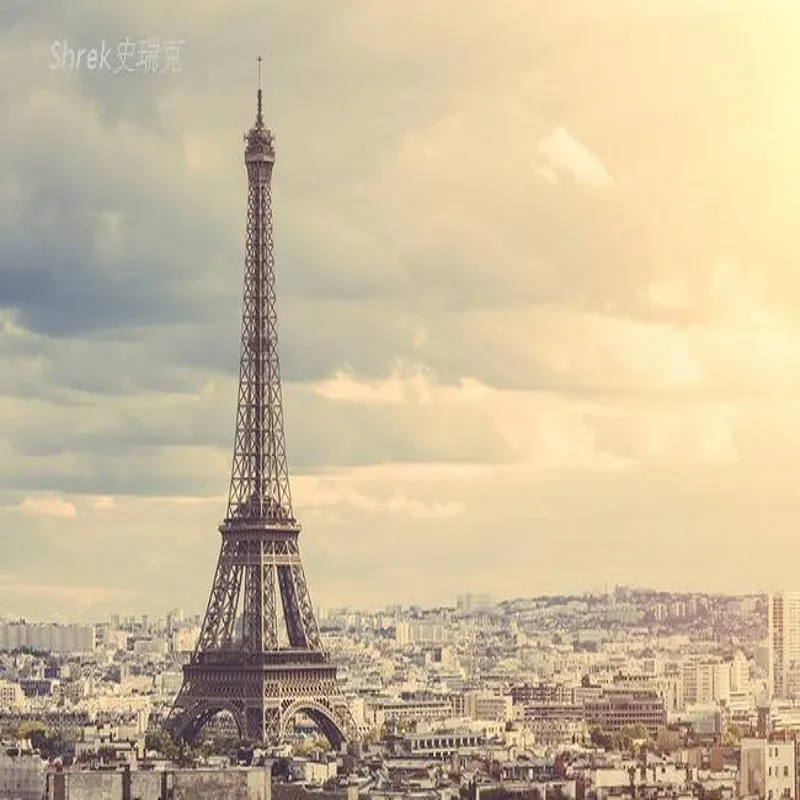 photo wallpaper 3D wallpaper European Eiffel Tower Retro Mural Living Room Bedroom Sofa TV Background Wallpaper mural