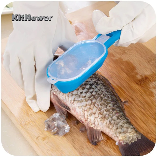 Buy KitNewer Multifunctional Fish Clean Scales Fish