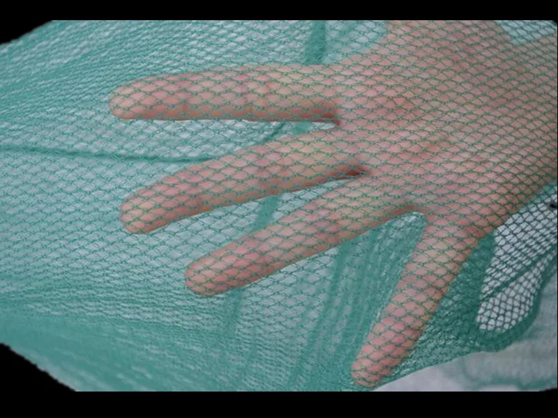 4_