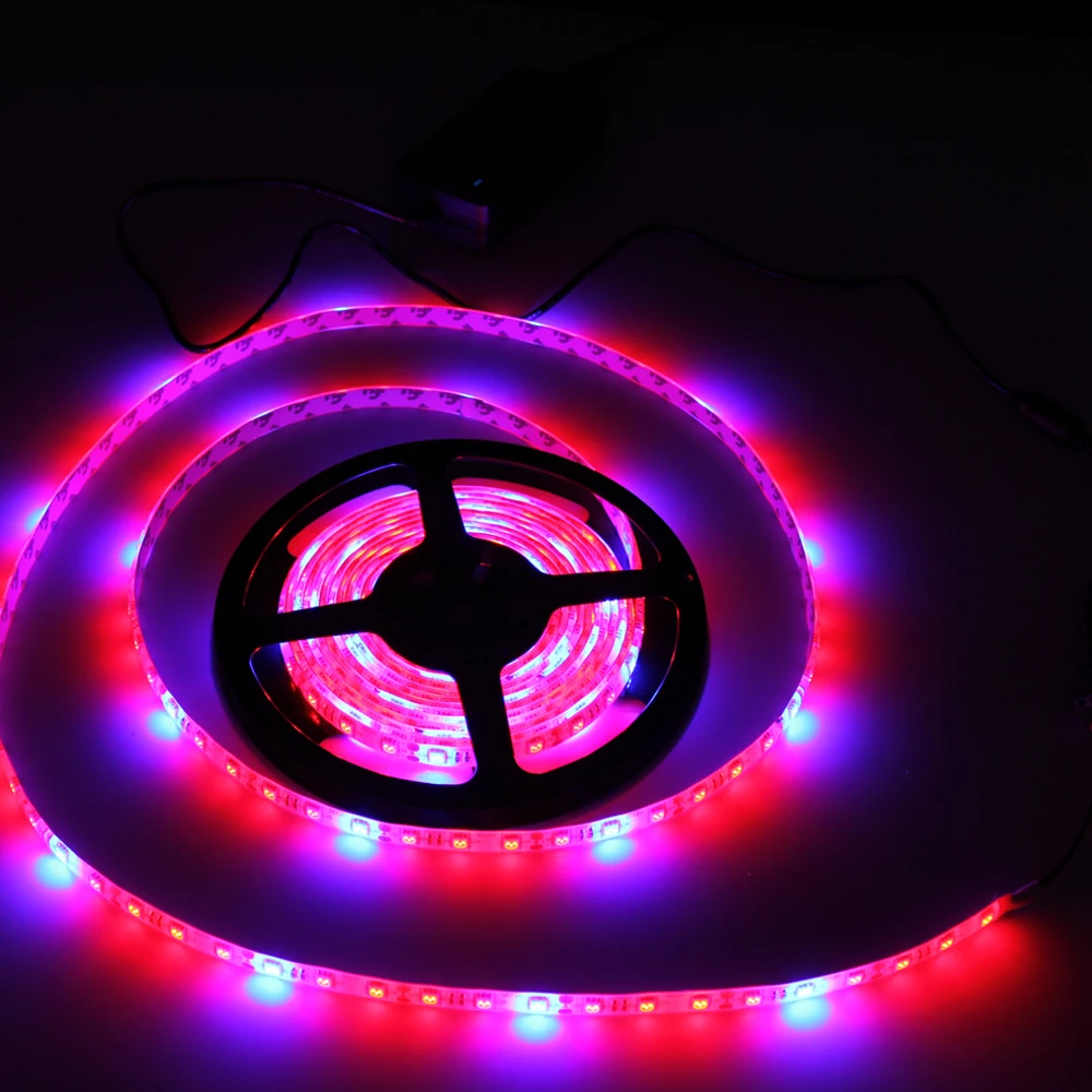 Congratulate, Leg grow light strip Variant Leave Leg grow light strip agree