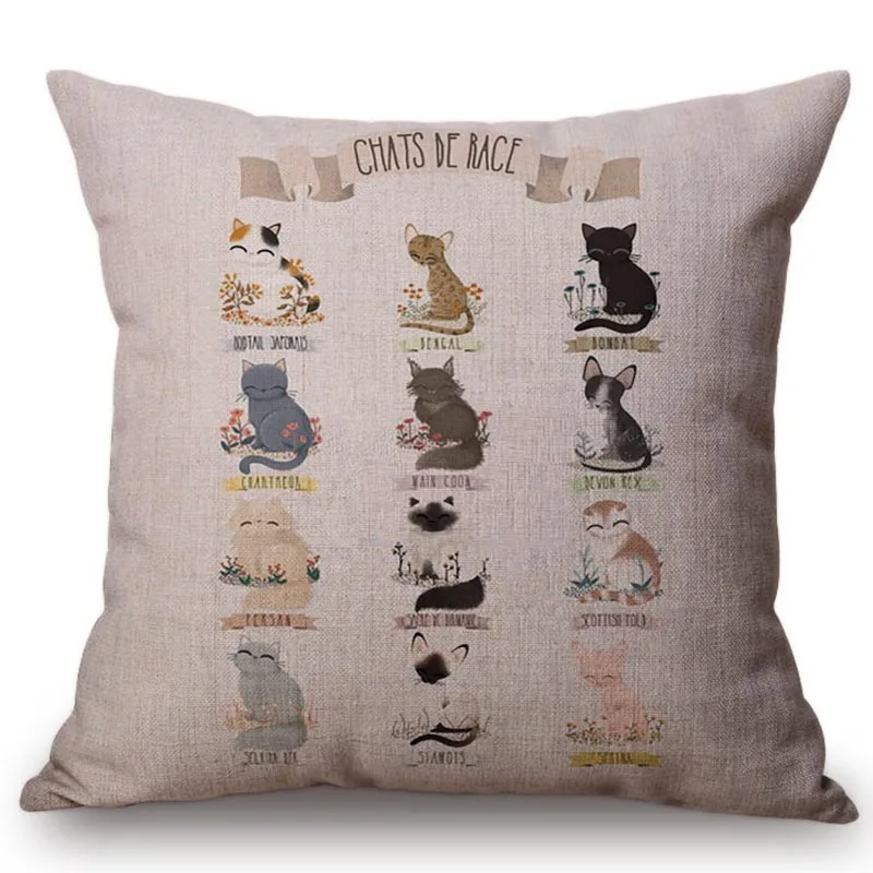cats-breed-canvas 