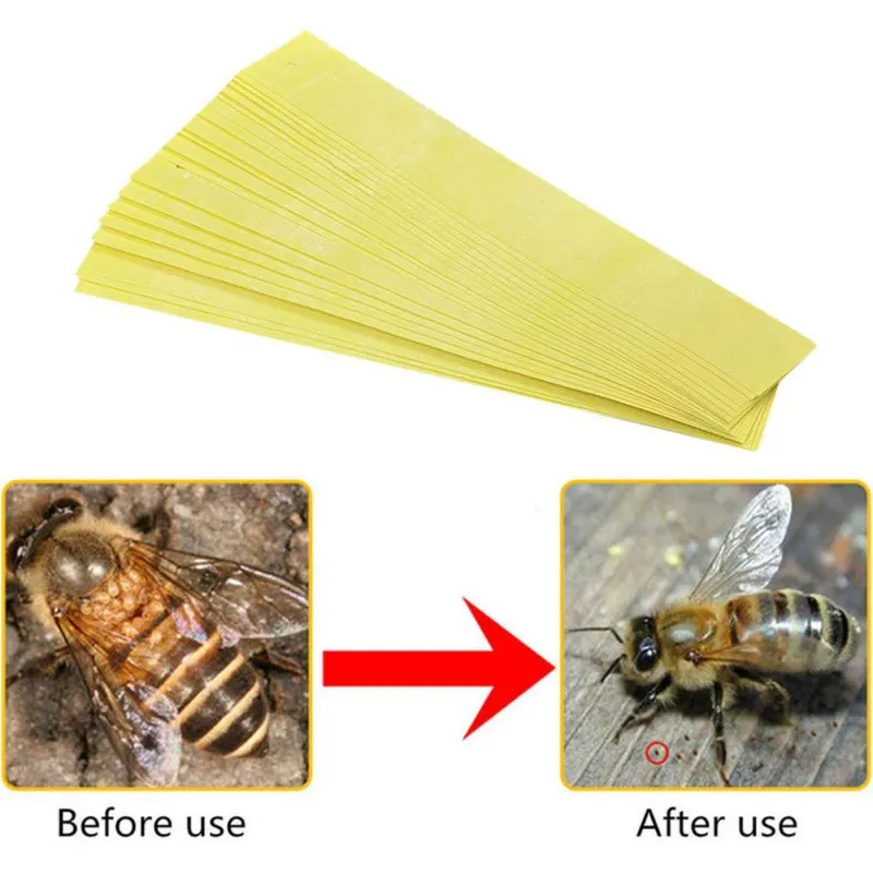 20PCS/Set Fluvalinate Strips Anti Insect Pest Professional Acaricide Against The Ape Mite Strip Beekeeping Medicine Bee