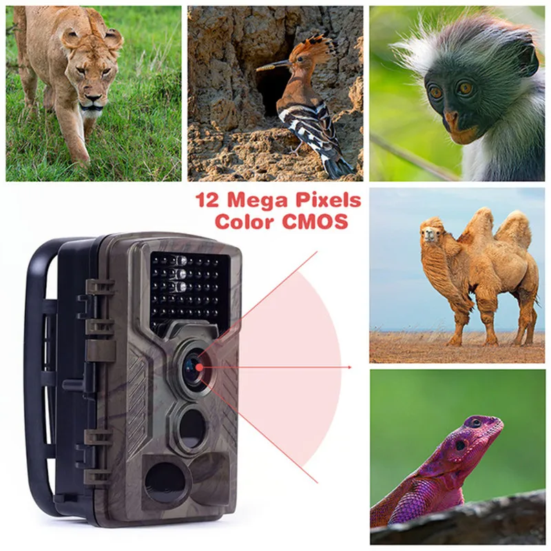 Buy Thermal Hunting Wild Camera MMS GPRS 12MP Night