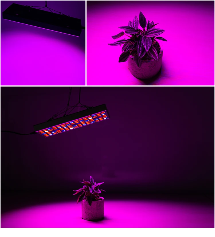 LED GL-_06