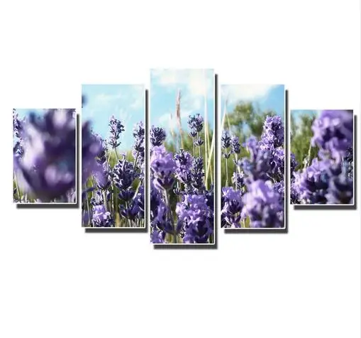 

Paintings Provence Lavender HD Modular Pictures Flowers Canvas Art Home Decoration for living room Mural 5 piece