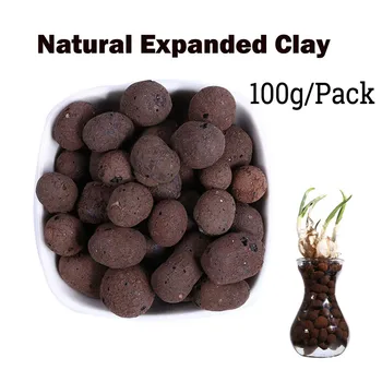 

1 Bag Organic Expanded Clay Pebbles Grow Media Orchids Hydroponics Aquaculture 100g Organic Garden Clay Pellets 9322#