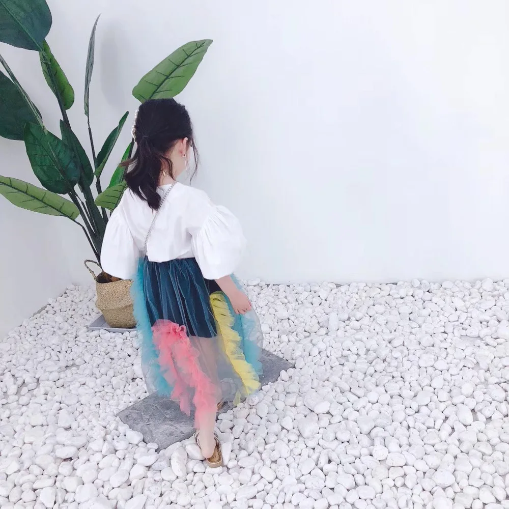 //cbu01.alicdn.com/img/ibank/2019/701/823/10955328107_1321416074.jpg