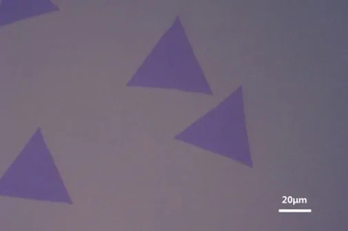 Triangle-MoS2-on-SiO2-Si