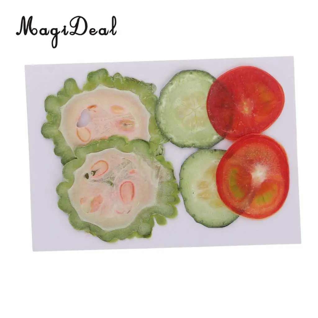 6Pcs Mix Dried Pressed Fruits Slices Plant Herbarium For Epoxy Resin Jewelry Making Phone Case Craft DIY Scrapbooking Decoration
