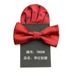 2019 галстук-бабочка и платок Набор галстуки для мужчин бумажный платок бабочка Карманный платок Череп dot corbata