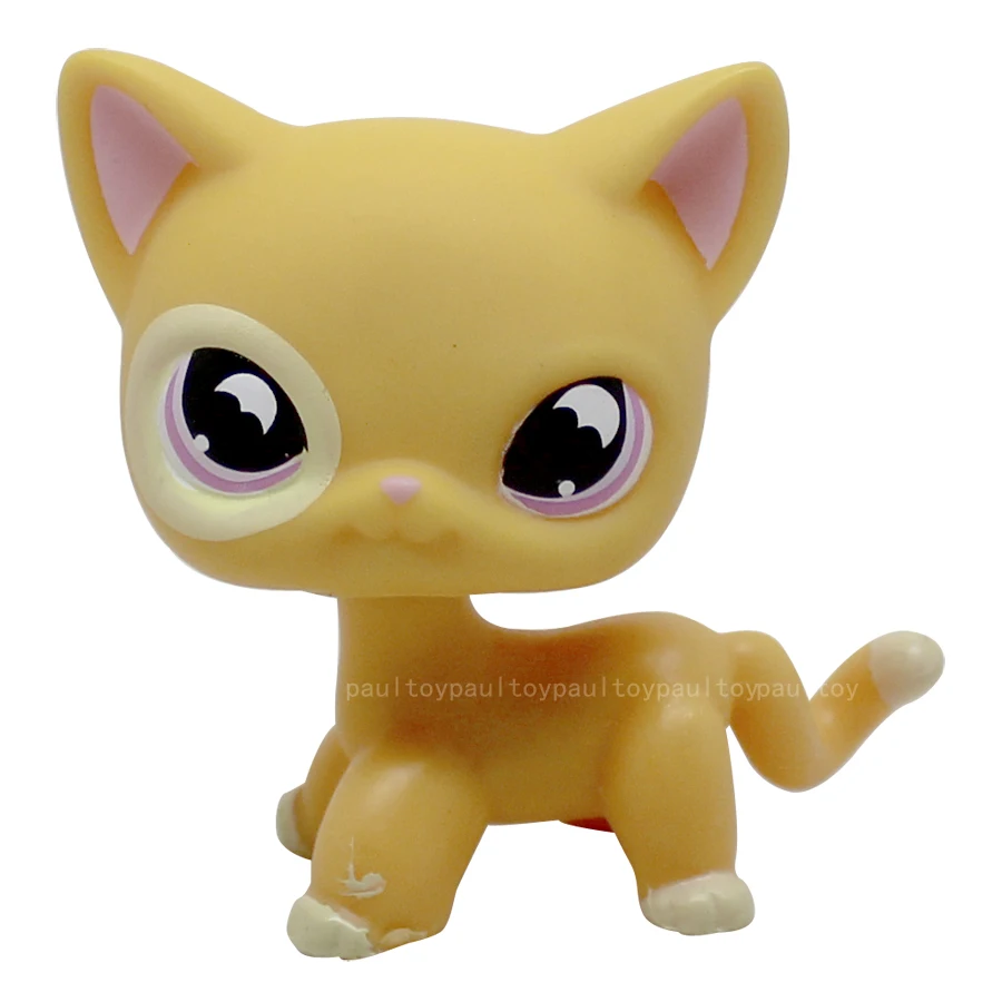 Littlest Pet Rare Yellow Orange Shorthair Cat Purple Moon Eyes lps 855