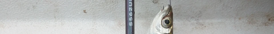 --_121