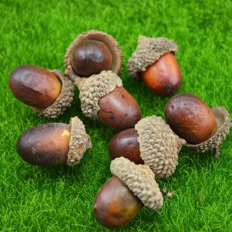 

5PCS/lot Pet Ant Breeding Ecological Jar Landscaping Ornaments Simulation Acorn Is about 2cm Long Ants Farm House Insect
