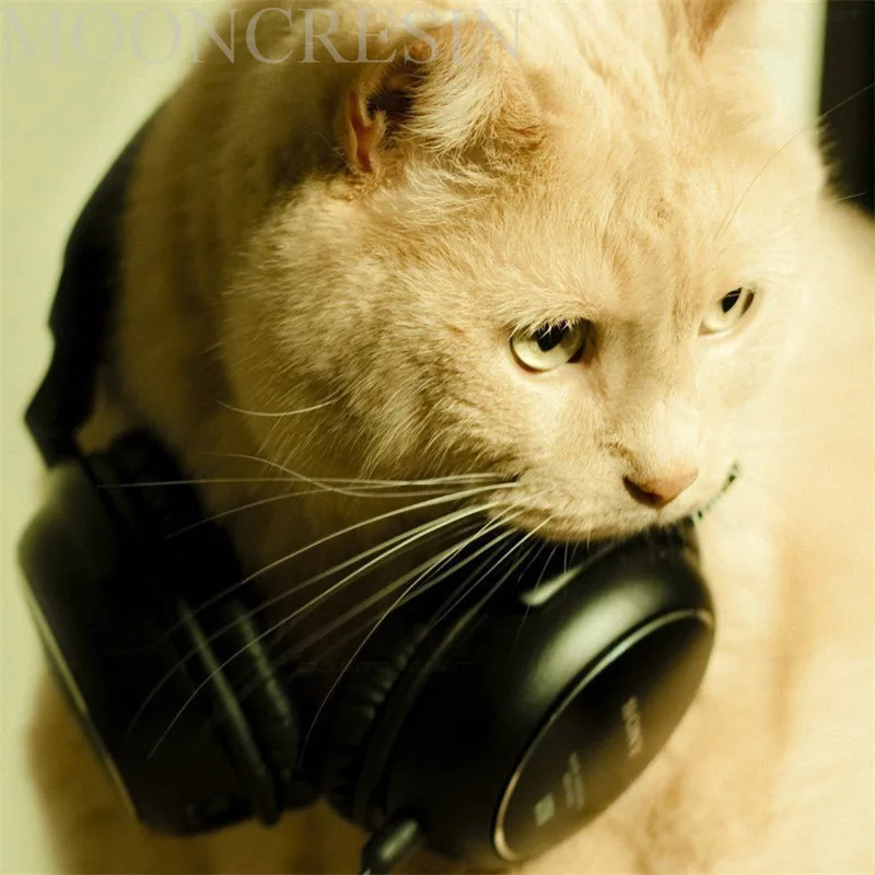 

5D Diy Diamond Painting Cross Stitch Cat Wearing Headphones 3D Diamond Embroidery Full Round Mosaic Decoration Resin Sticker Kit