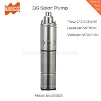 25DCS