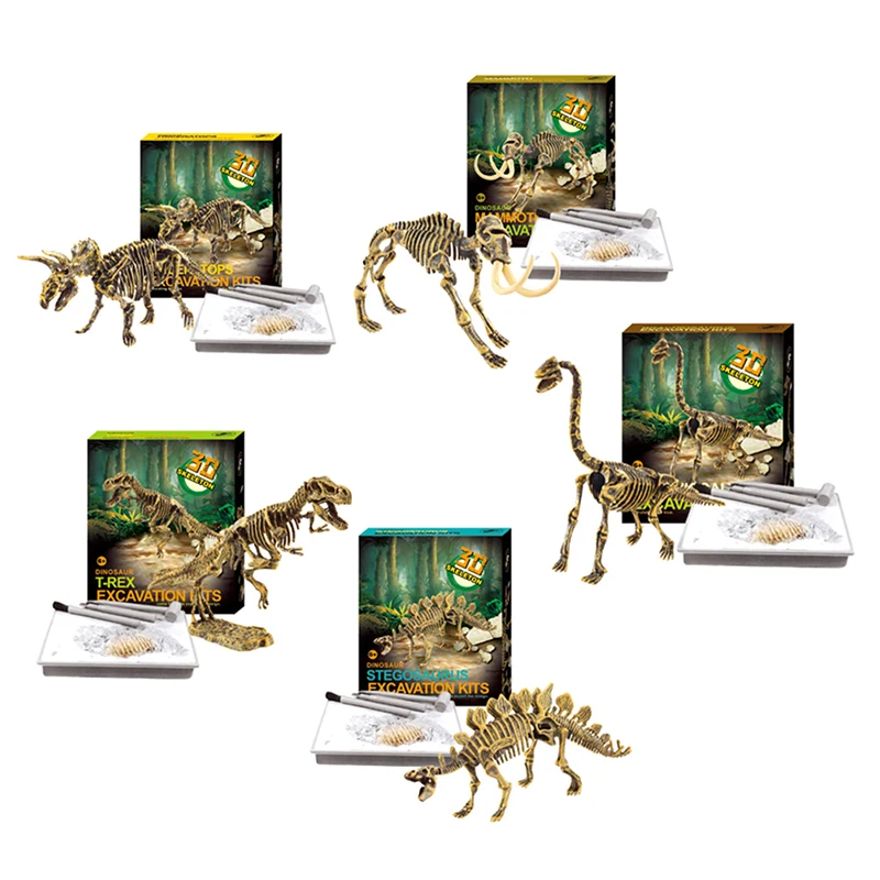 

Archaeological Excavation Fossil Skeleton Dinosaur Excavation Kit