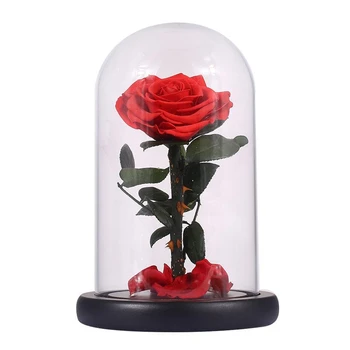 

Glass Cover Fresh Preserved Rose Flower Barbed Rose Flores For Wedding Marriage Home Party Decoration Valentine'S Day Gift