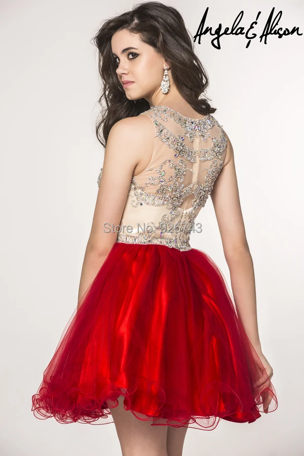 fancy western dress