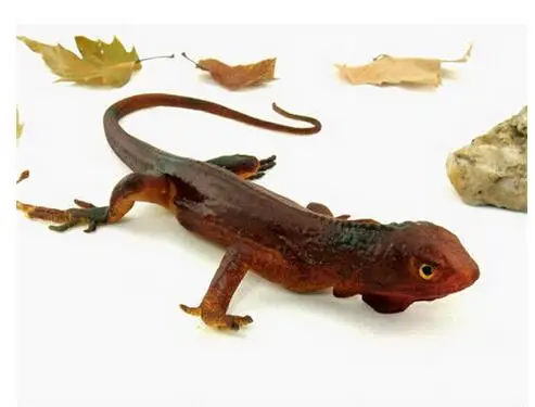 Popular Rubber Lizard Toys-Buy Cheap Rubber Lizard Toys
