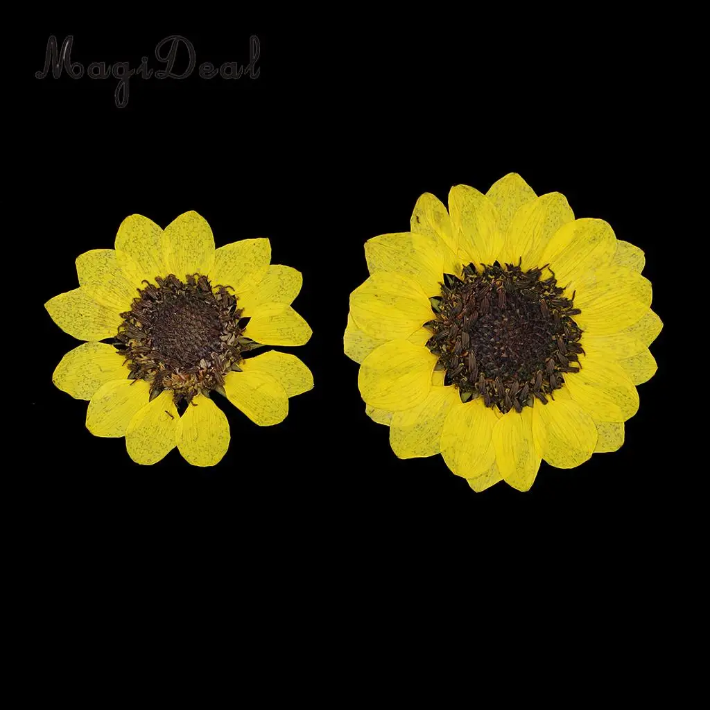 6 Pieces Pressed Natural Real Dried Flowers Sunflower for DIY Resin Ornament Craft Christmas Xmas Card Making Decoration