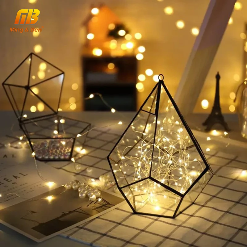 

Led Fairy String Strip Light 10M 100leds Outdoor Party Holiday Decoration Powered by 4.5V Battery USB Copper Wire Strip Lamp