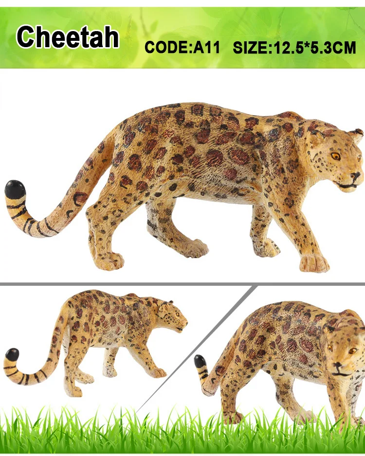 Cheetah