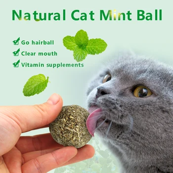 

Cat Natural Catnip Toys Menthol Flavor Kitten Treat Ball Cats Playing Cleaning Teeth Toy